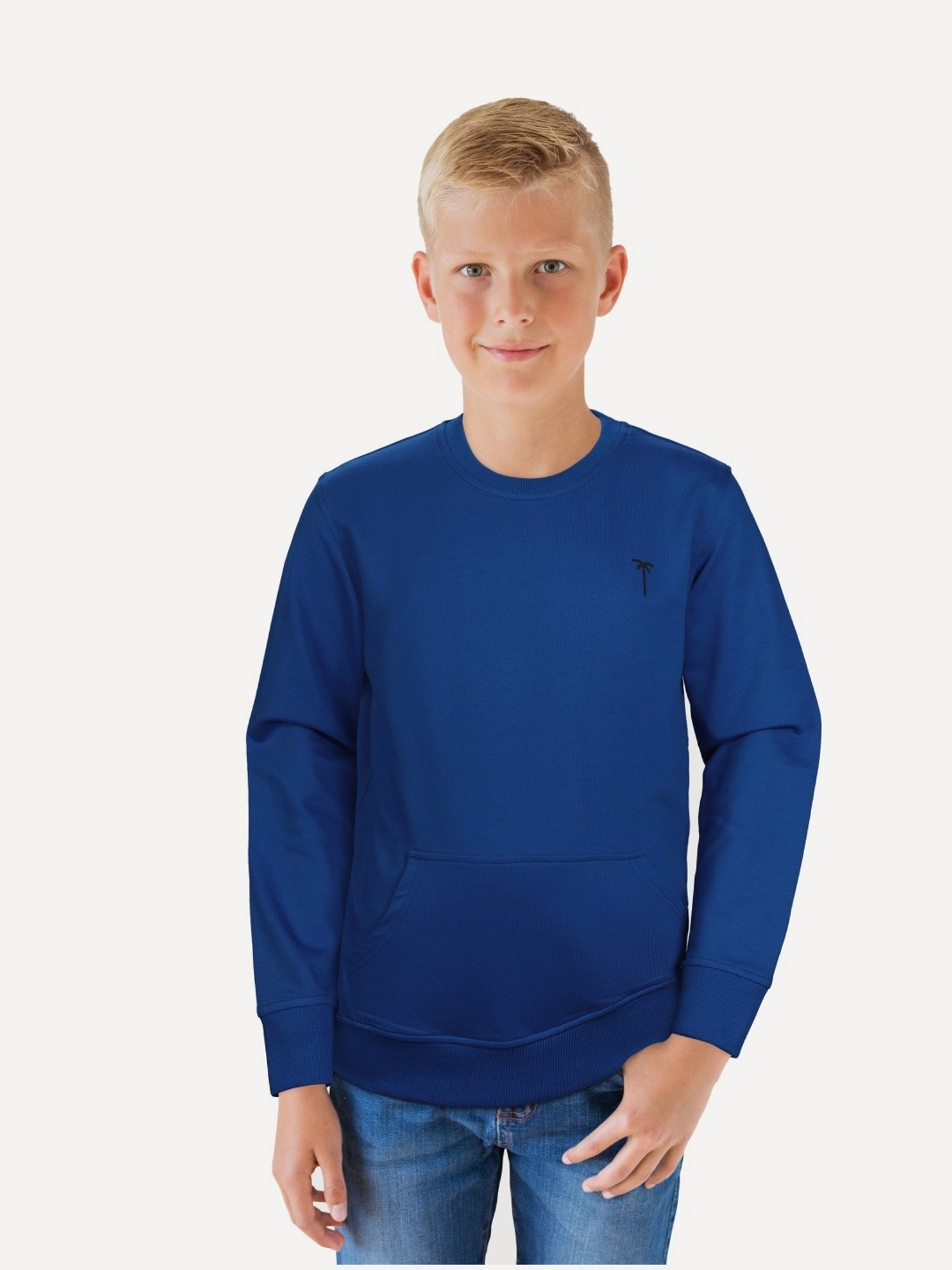 Palm Tree Kids Blue Cotton Regular Fit Full Sleeves Sweatshirt