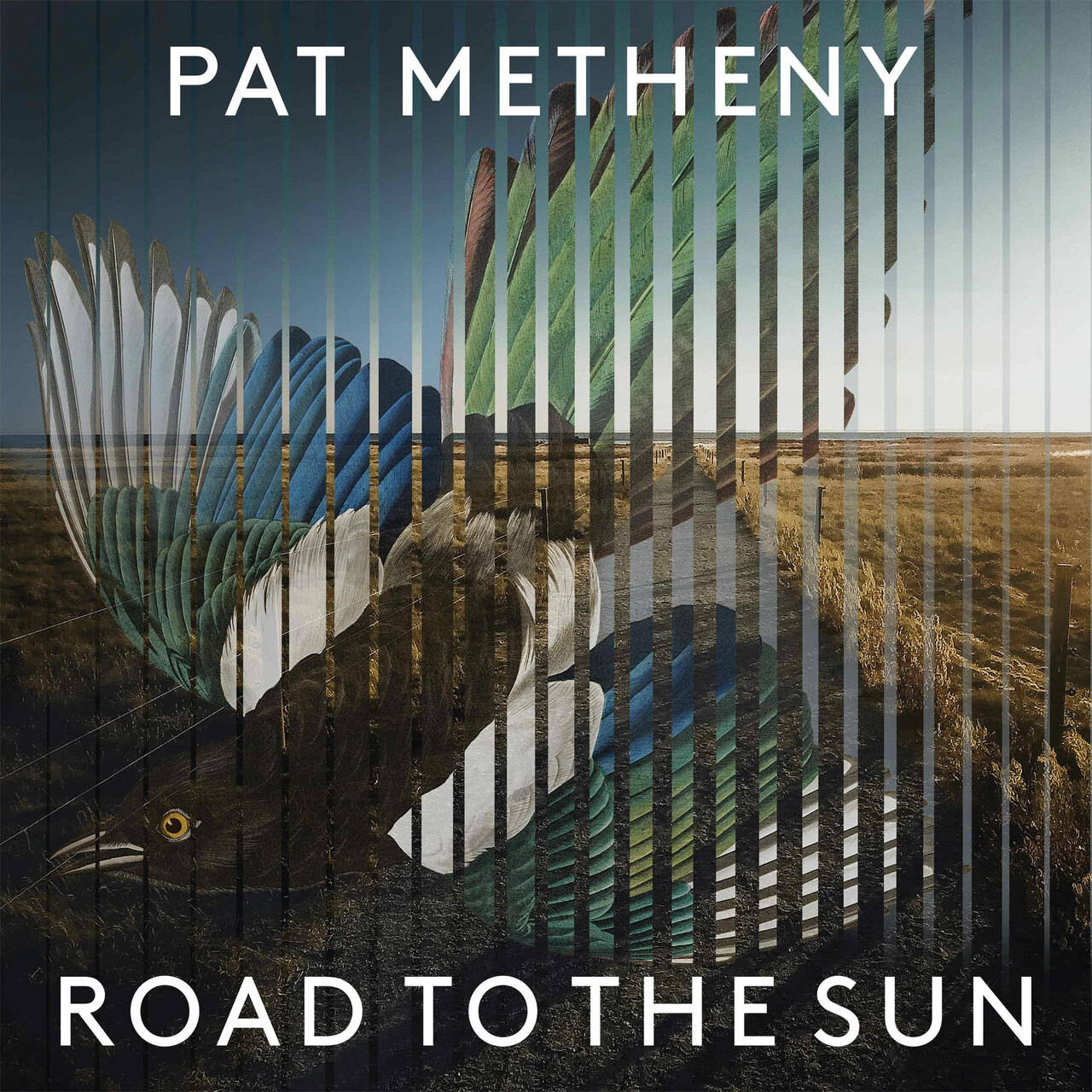 Pat Metheny Road To The Sun 2LP (Vinyl)