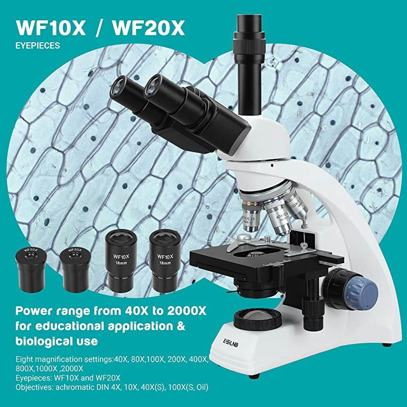 40X-2000X Microscopes for Students Adults 3W LED Compound Lab Microscope with Phone Adapter X-Y Mechanical Stage N.A = 1.25 Abbe Condenser 2 Types of Power Supplies