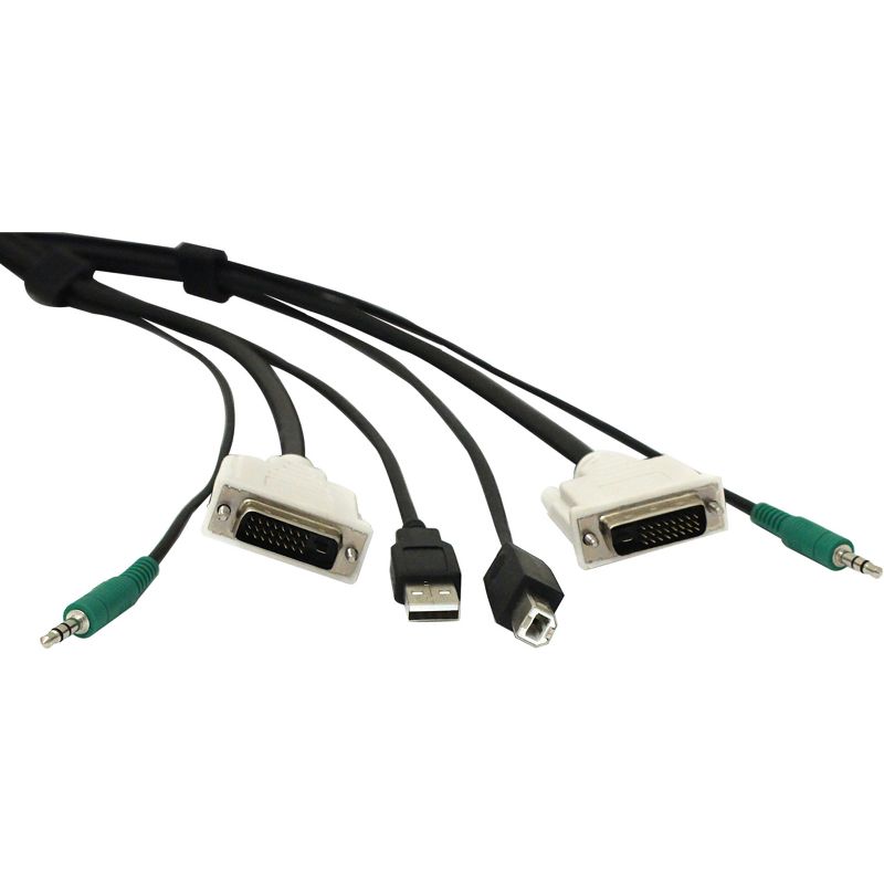 Black Box Secure DVI KVM Cable - USB A-B, 3.5mm Audio, 6-ft. - 6 ft KVM Cable for KVM Switch