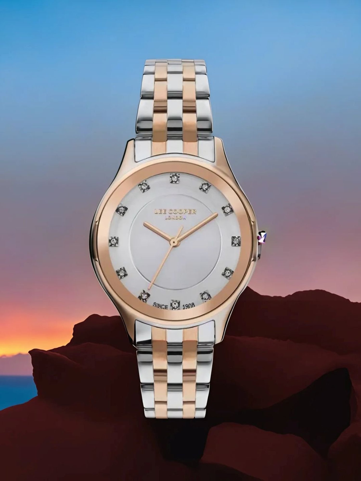 Lee Cooper LC07867.530 Analog Watch for Women