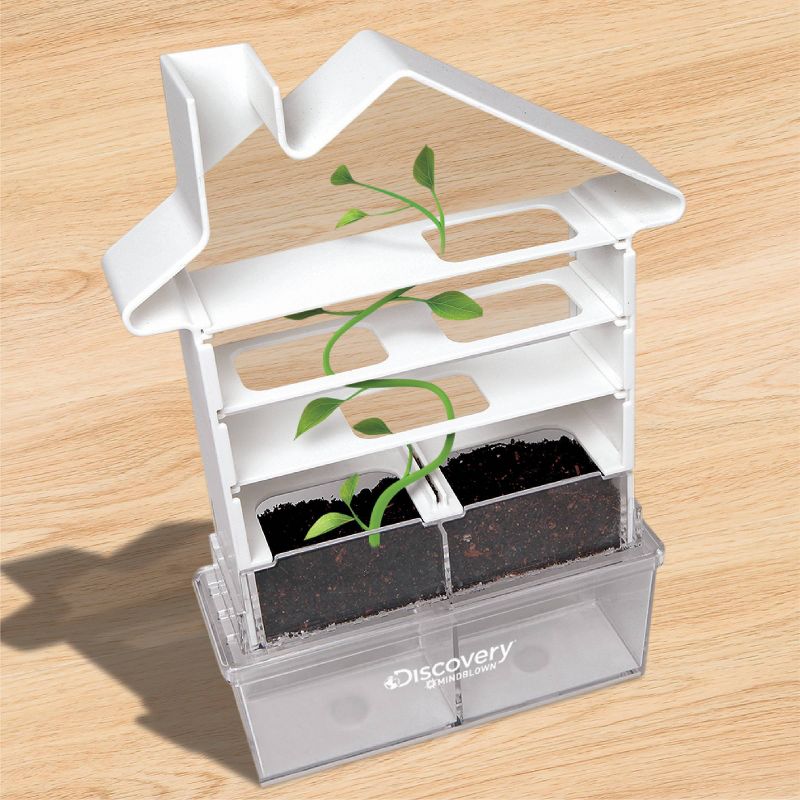 Discovery Kids Kids DIY Maze Planter Science Kit