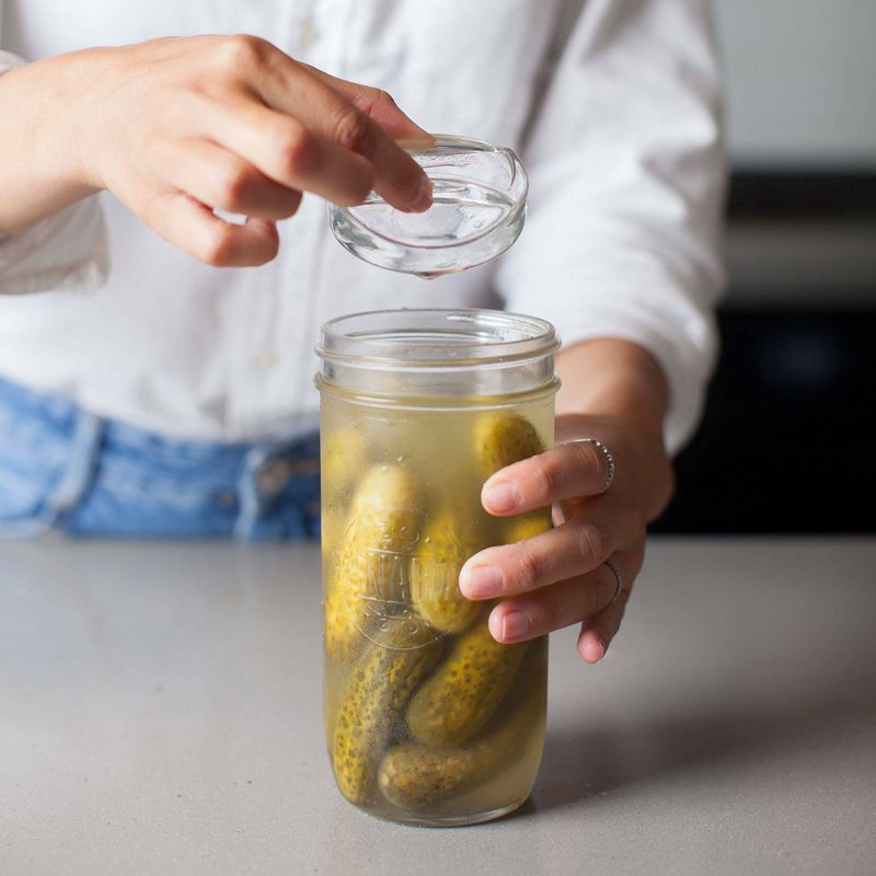 Masontops 4pk Pickle Pebble Fermentation Weights - Regular