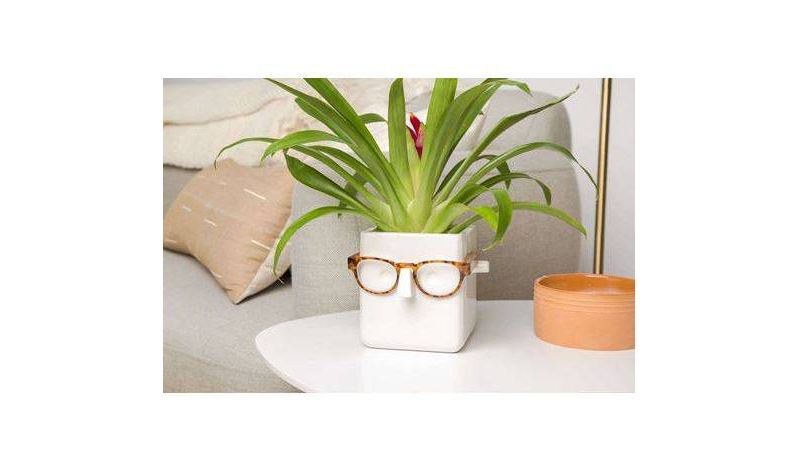 Face Plant Holder White