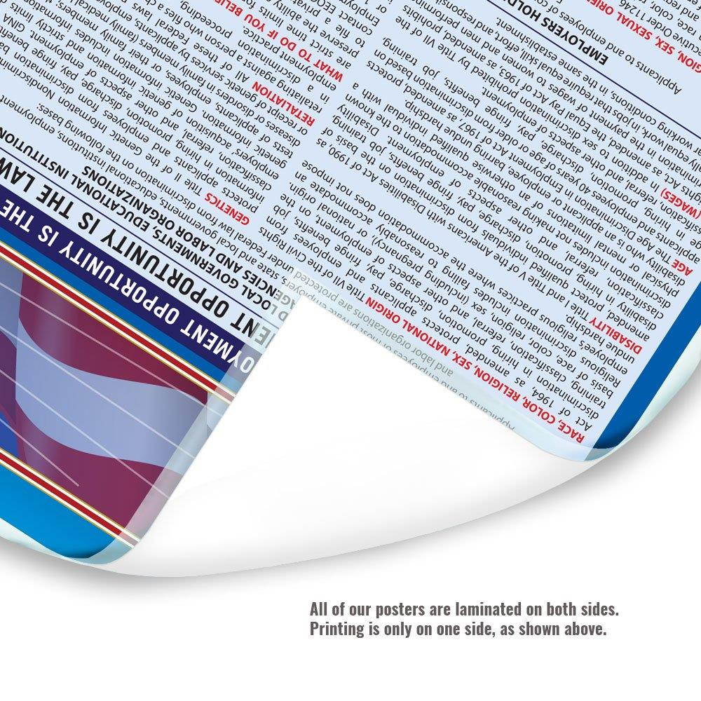 2018 California Labor Law Poster - State & Federal Compliant - Laminated