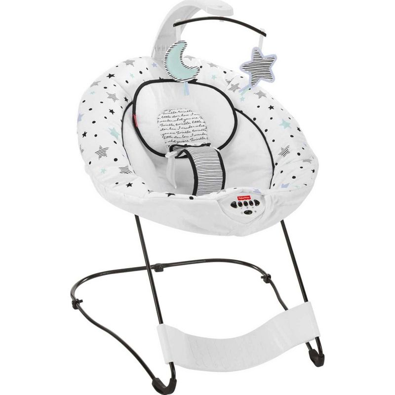 ​Fisher-Price Baby Bouncer