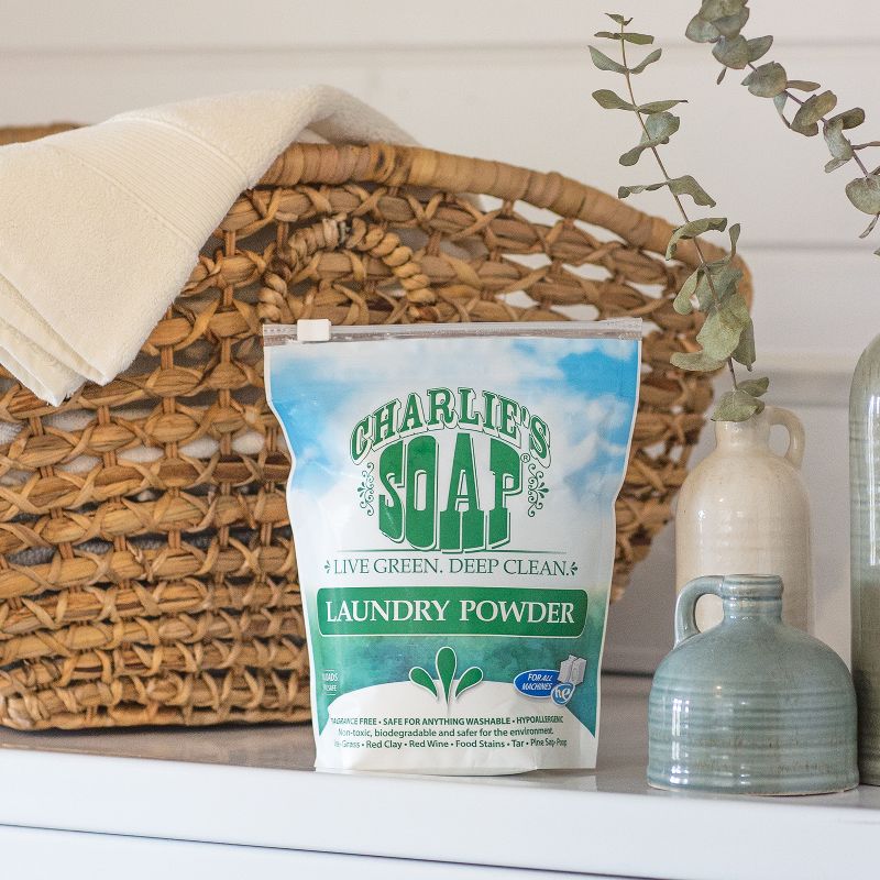 Charlie's Soap Powder Laundry Detergent - 42.24oz
