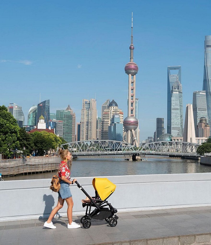 Bugaboo Bee 6 Complete Stroller