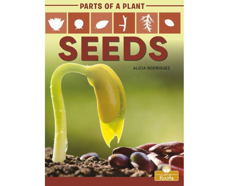 Seeds - (Parts of a Plant) by  Alicia Rodriguez (Paperback)