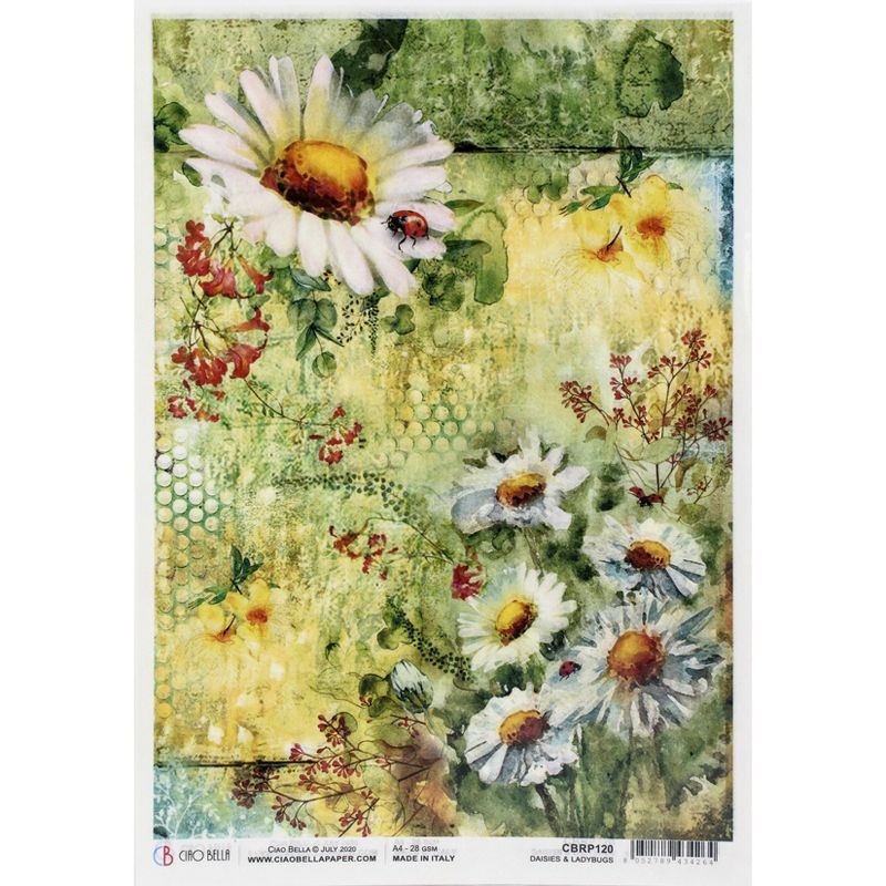 Ciao Bella Rice Paper Sheet A4 5/Pkg-Daisies & Ladybugs, Microcosmos