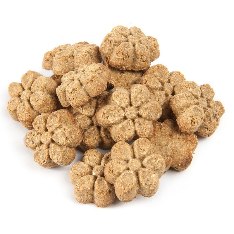 Fruitables Greek Strawberry Yogurt Flavor Healthy Baked Dog Treats - 12oz