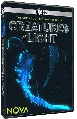 PBS NOVA-CREATURES OF LIGHT (DVD) DNOVA6306D