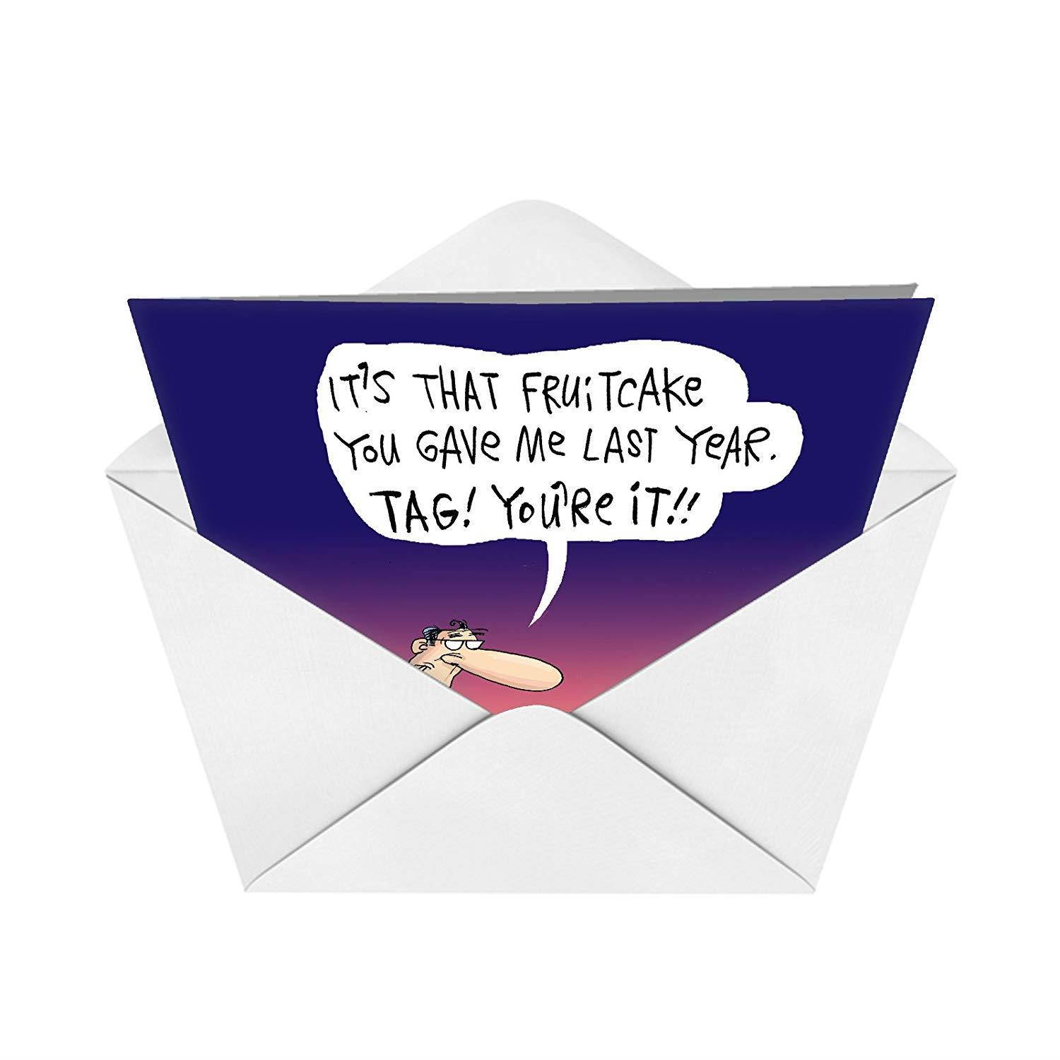 B2479XSG Box Set of 12 Box Of Fruitcake Tag Christmas Cards Hilarious Christmas Greeting Card; with Envelopes