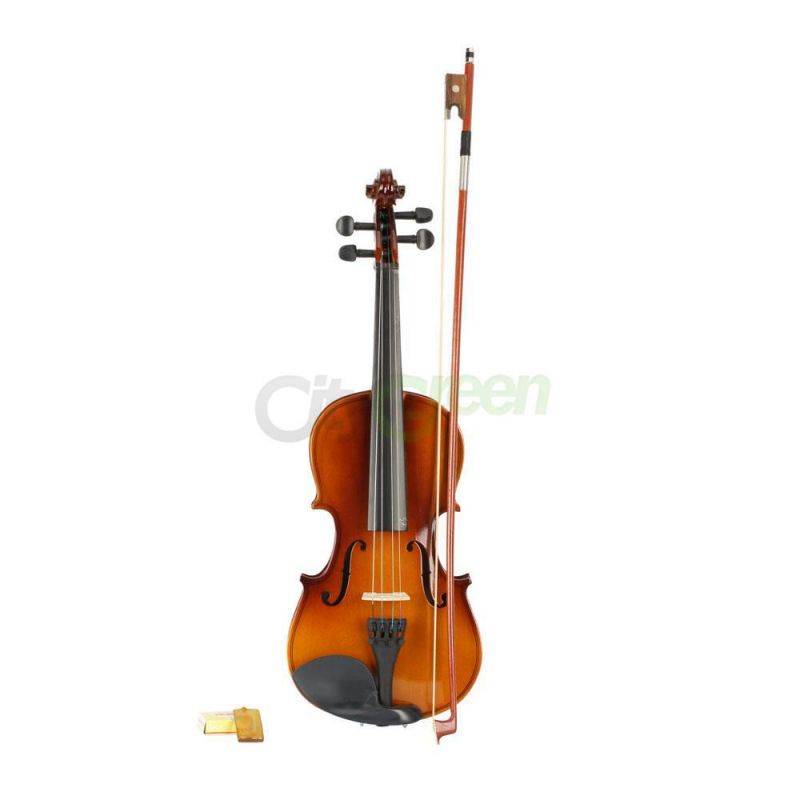 New Music Profession Acoustic Violin 3/4 Full Size Natural  + Case + Rosin + Bow
