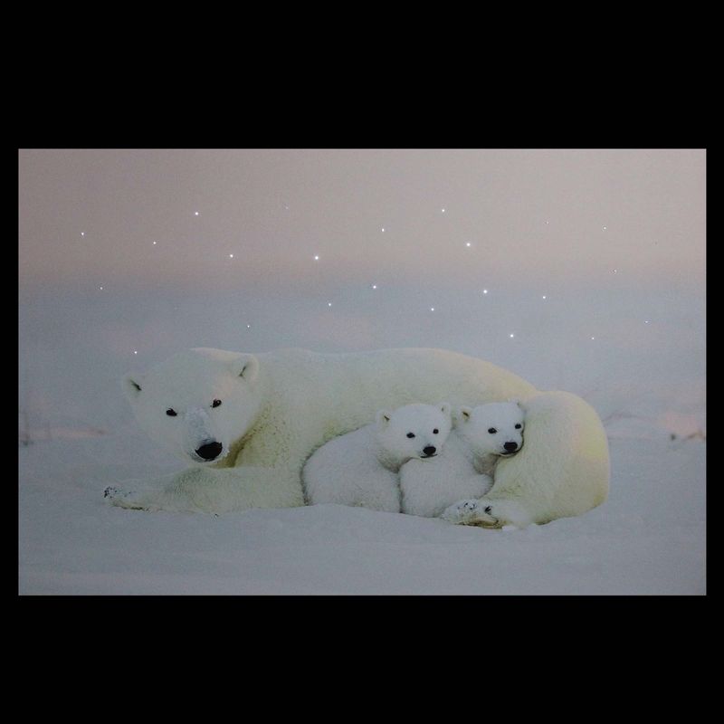 Northlight Fiber Optic Lighted Mama Polar Bear and Cubs Canvas Wall Art 23.5" x 15.5"
