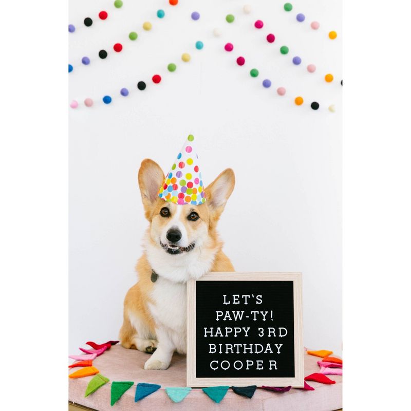 Pearhead Pet Letterboard Set - Black