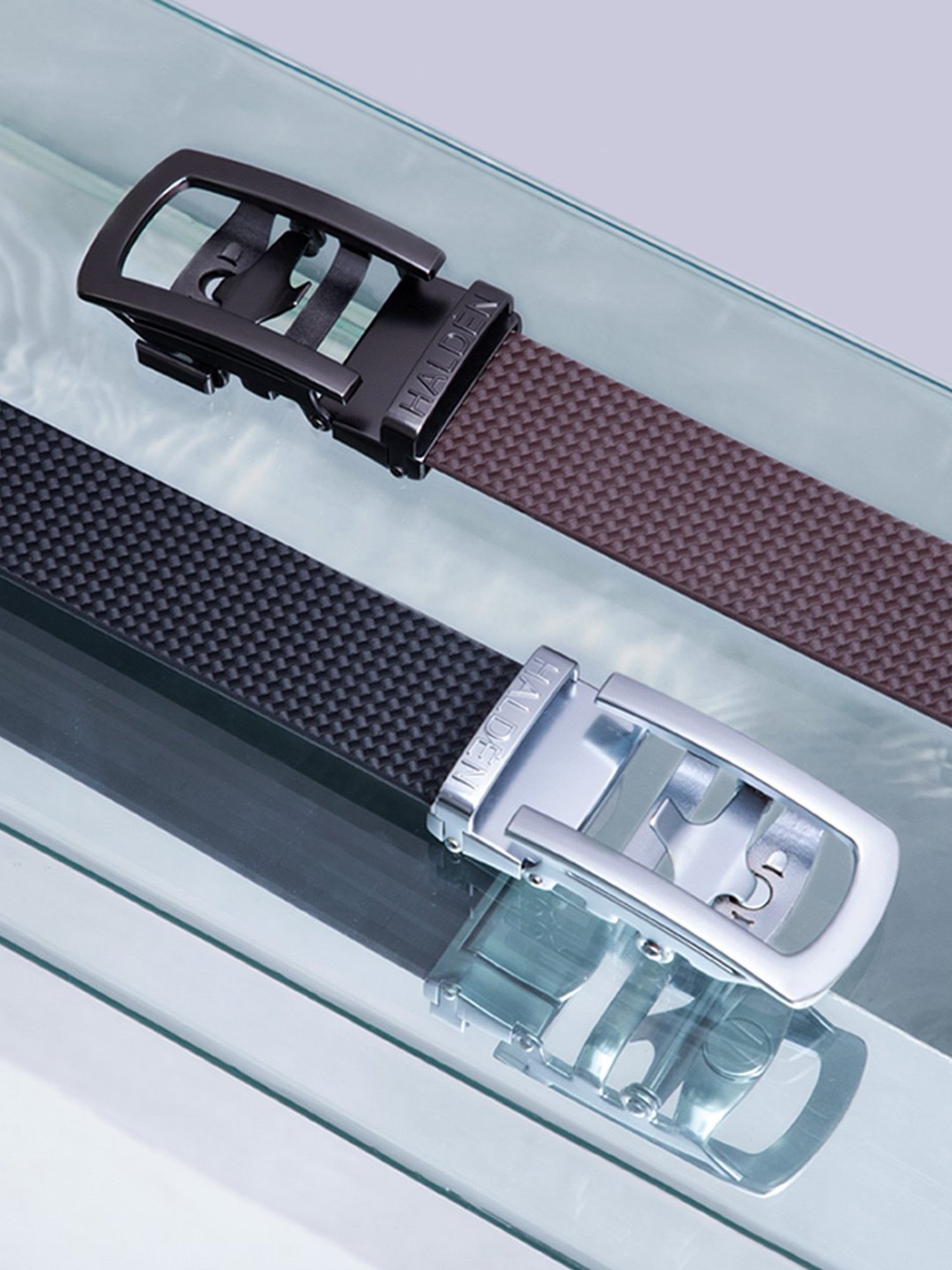 Halden Brown  Casual Belt With Classic Black Glossy Buckle