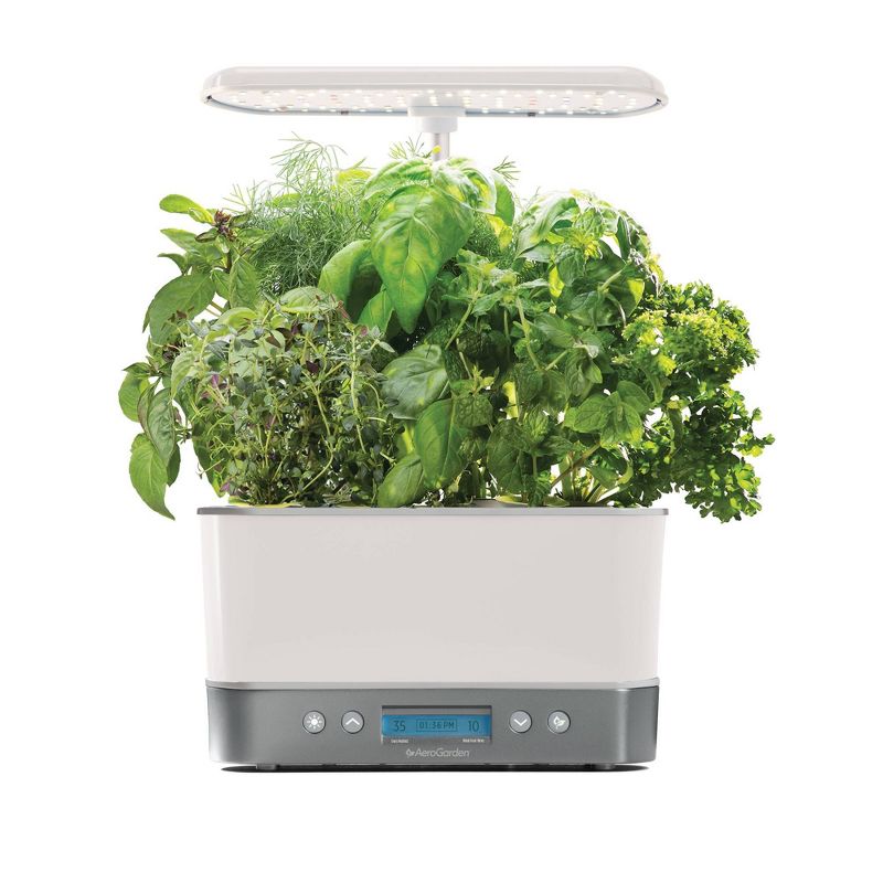3-Pod Gourmet Herbs Seed Pod Kit