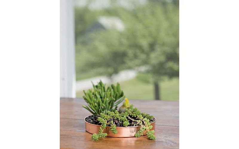 Small Round Copper Plant Tray, 10 - GARDENER'S SUPPLY CO.