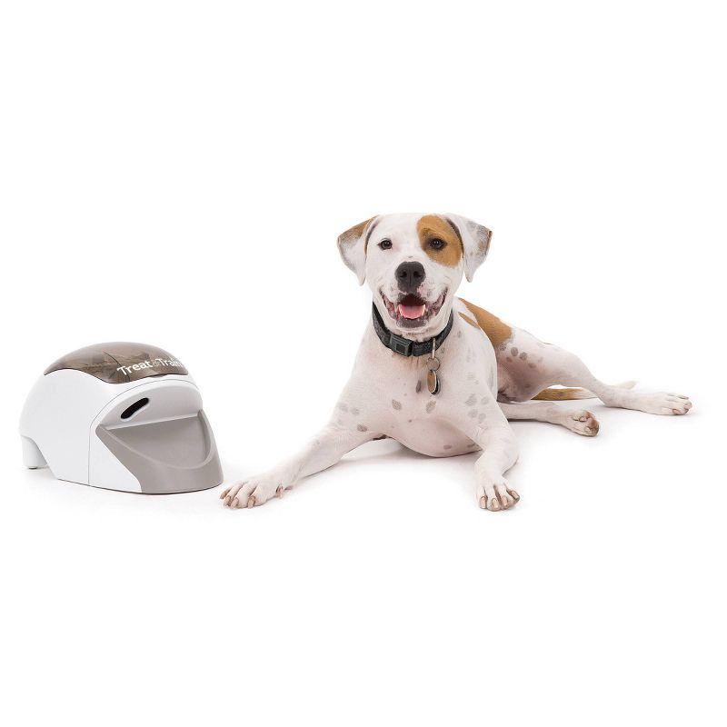 PetSafe Treat and Train Remote Reward Dog Trainer - Beige