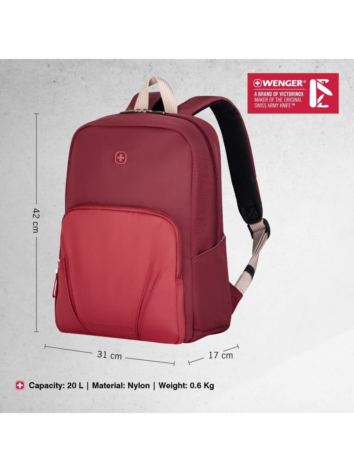 Aeropostale Rossville Navy Backpacks Backpack