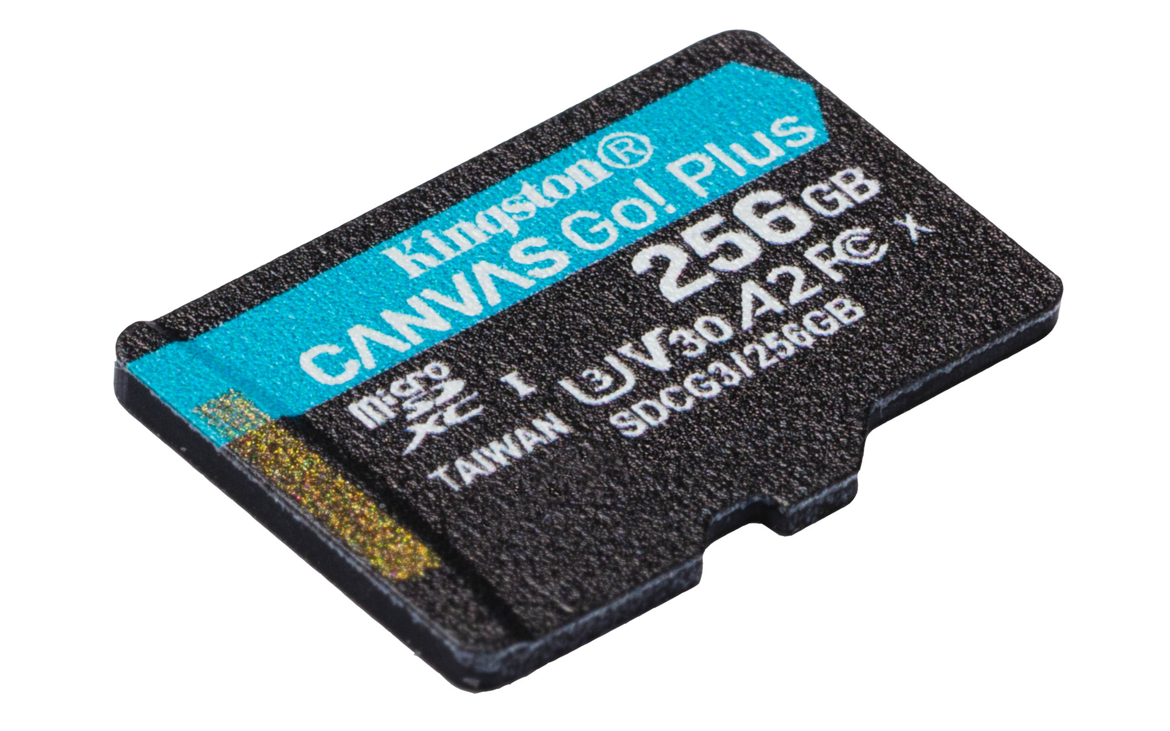 256GB MICROSDXC CANVAS GO PLUS 170R A2