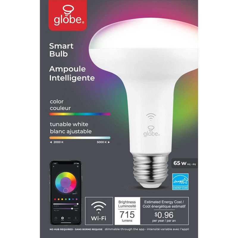 Smart 65W Equivalent White LED Wi-Fi Enabled Voice Activated BR30 E26 Frosted LED Light Bulb