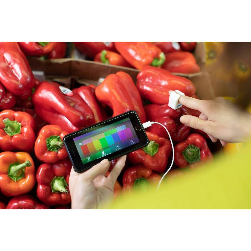 Prehistoric Sea Creatures Terrarium - Thinkbox