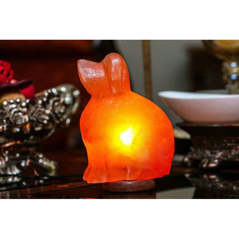 Dog Salt Lamp Pink - Q&A Himalayan Salt