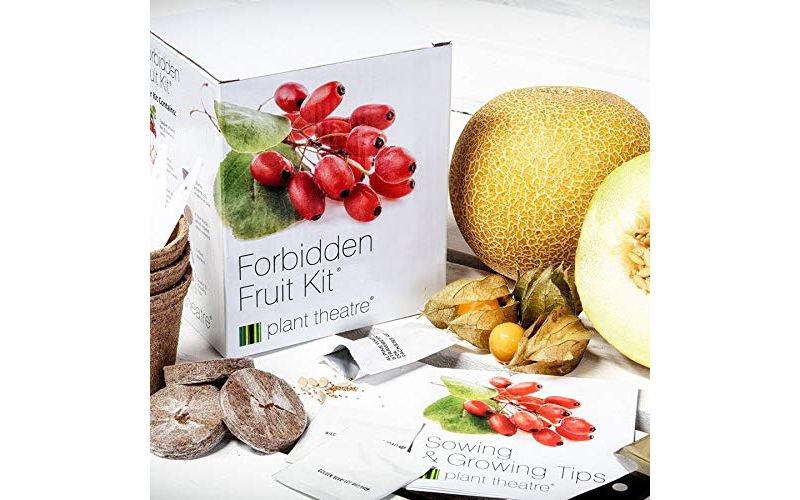 Plant Theatre Forbidden Fruit Kit - Plant Seed Kit - 5 Delectable Fruits to Grow - Everything You Need to Start Growing in one Box!