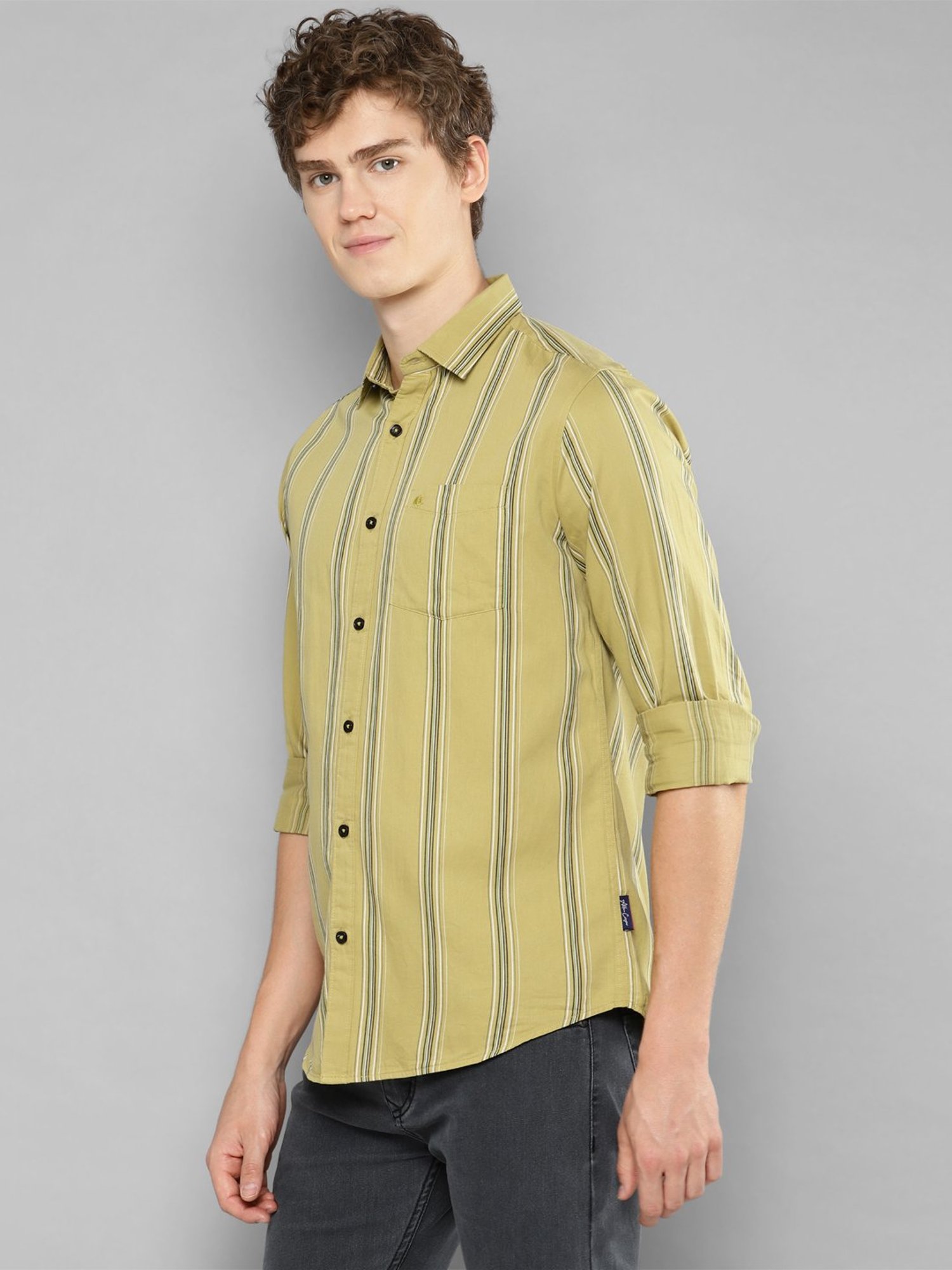 Allen cooper Green Regular Fit Striped Cotton Shirt