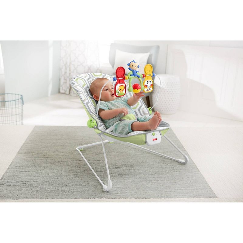​Fisher-Price Baby Bouncer