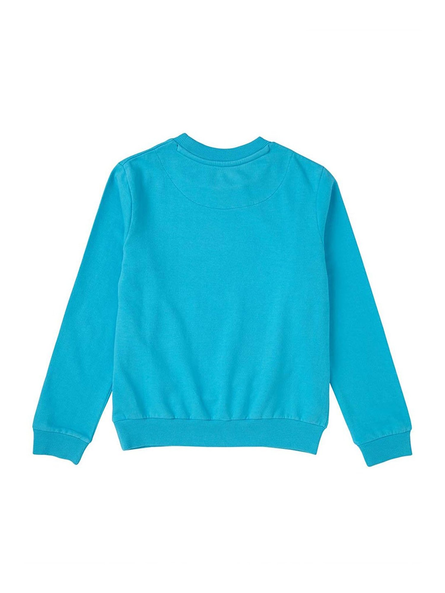 Cub McPaws Kids Blue Printed  Sweatshirt