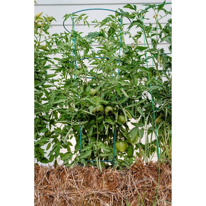 54" 5pk Heavy Duty Plant Support Evergreen - Glamos