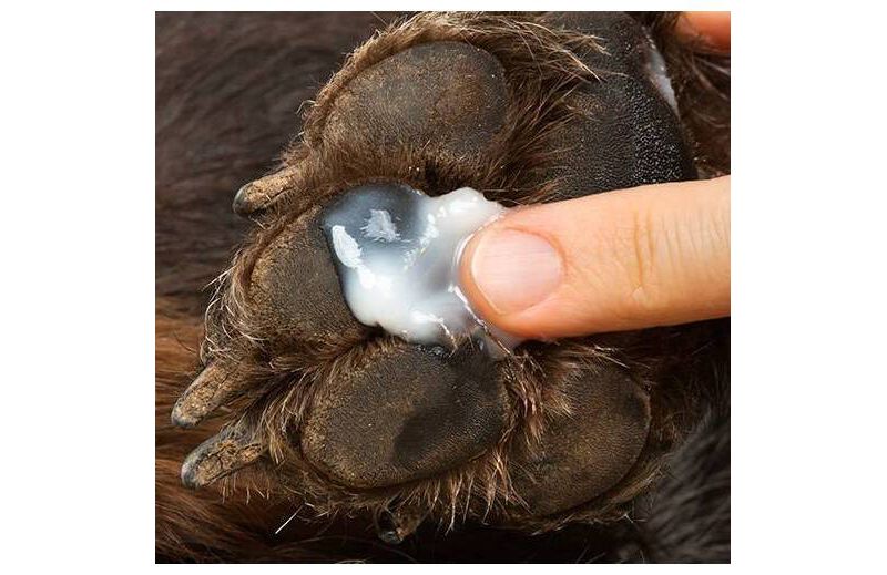 Healers Anti Itch Hot Spot Stopper with Hydrocortisone - 4oz