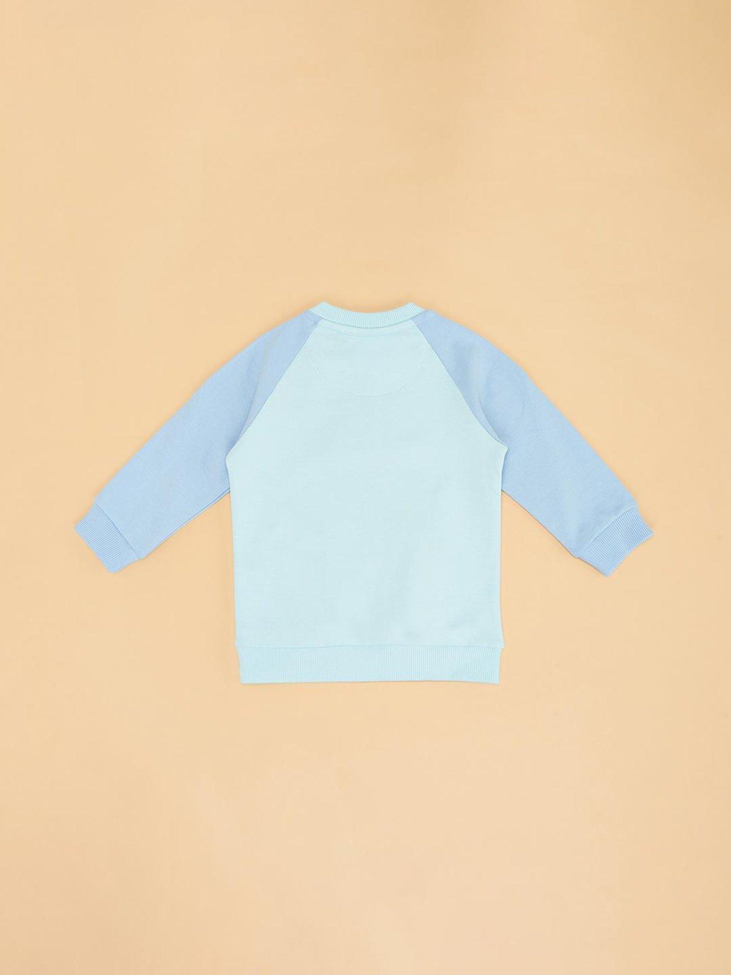 Pantaloons Baby Blue Sweatshirt