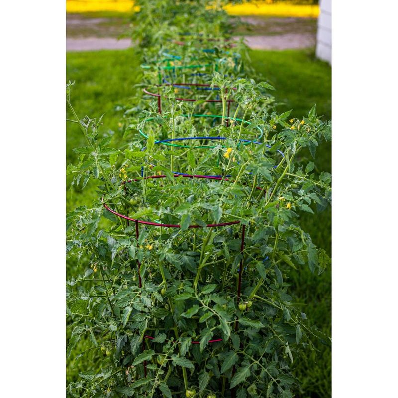 60" 5pk Plant Support Light Green - Glamos