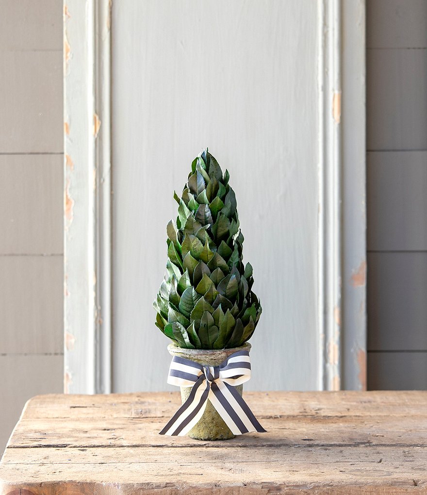 Park Hill Lemon Leaf Cone Topiary