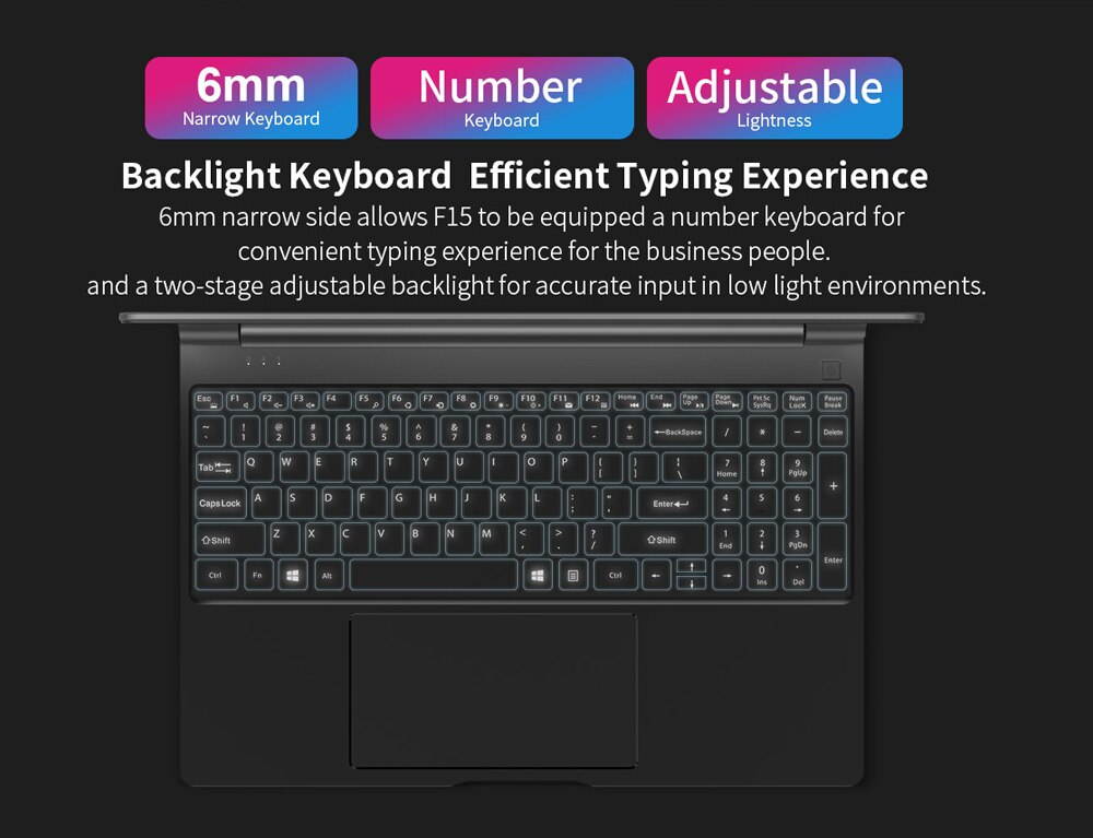 Lemonra F15 Laptop 15.6 In Notebook  Intel N4100 Quad Core 2.4GHz Intel UHD Graphics 600 LPDDR4 8GB RAM 256GB SSD Pocketbook Windows 10 OS 1920x1080 FHD Netbook