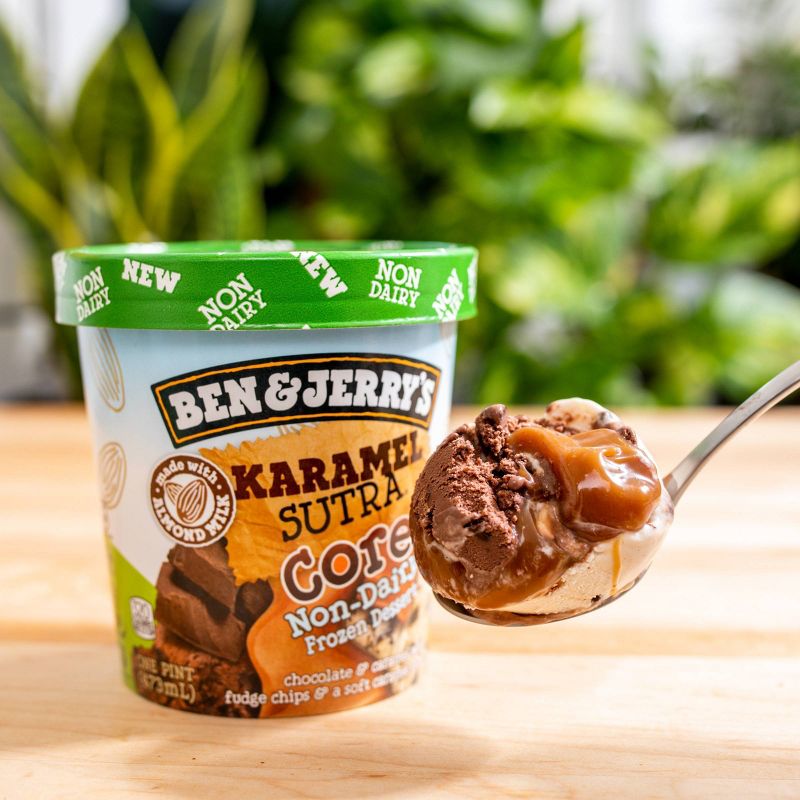 Ben & Jerry's Non Dairy Karamel Sutra Core Frozen Dessert - 16oz