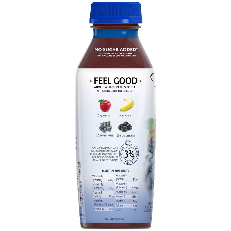 Bolthouse Farms Blue Goodness Fruit Juice Smoothie - 15.2 fl oz