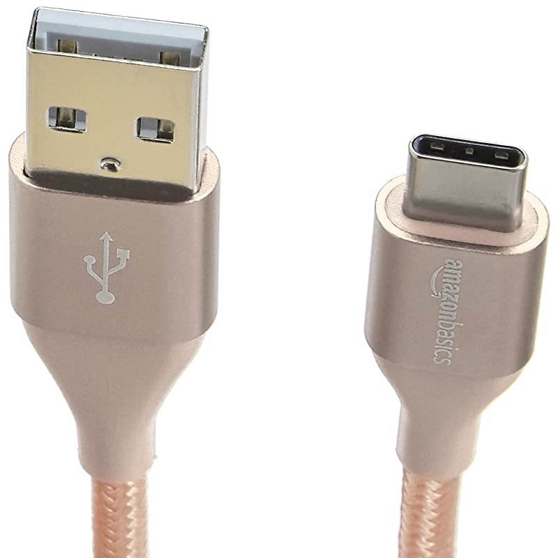 Basics 10 foot Nylon USB-C to USB-A 2.0 Fast Charging Cable, Gold