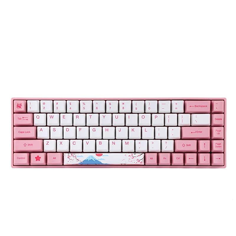 AKKO 3061 World Tour Tokyo 61 Keys 60% Wired Mechanical Keyboard with PBT Keycaps, NKRO for Gamers/Mac/Win (Cherry Brown Switch, 61 Keys)