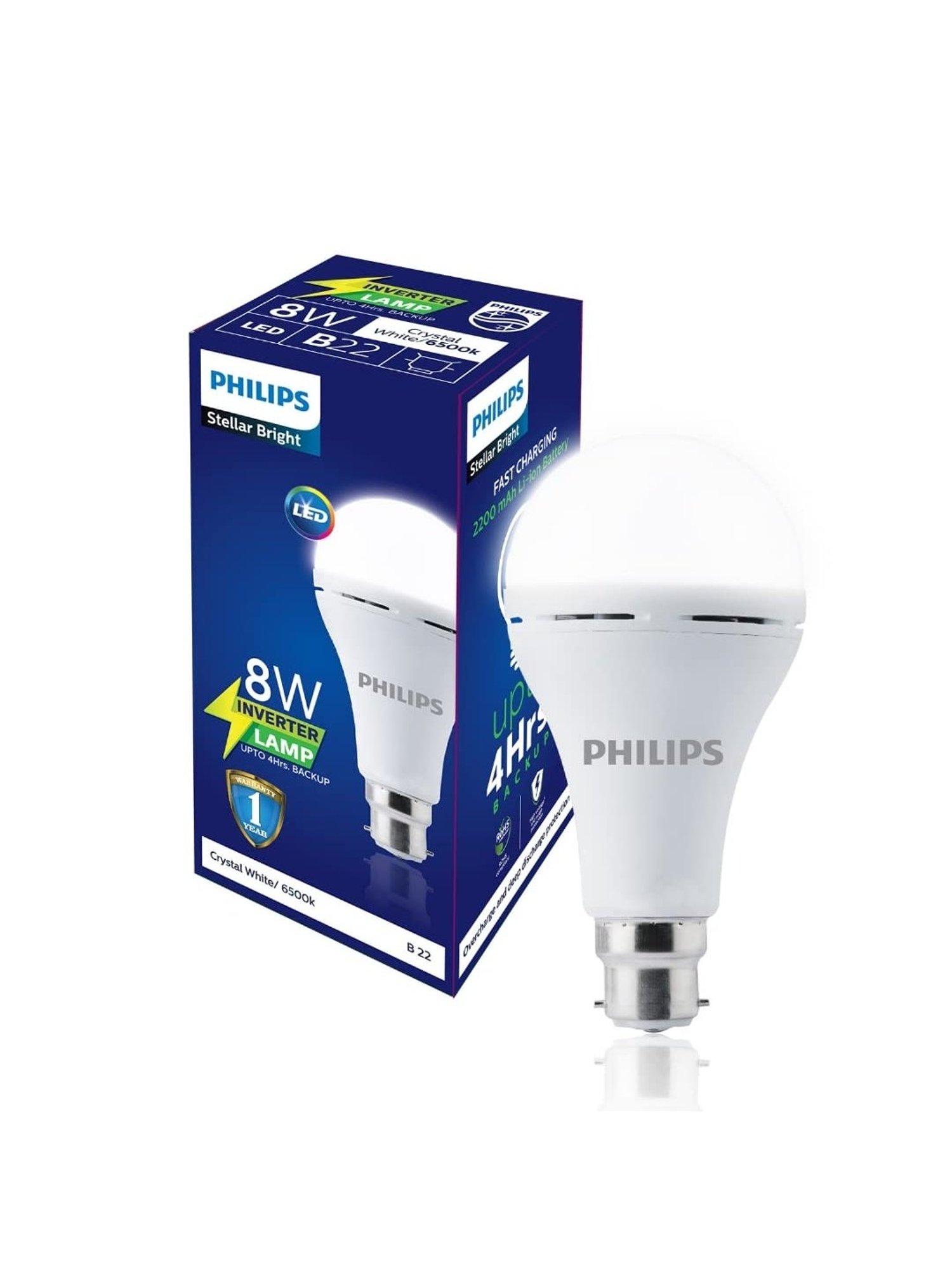 Eveready 0.5 W Standard B22 LED Bulb Pack of 12 (Green)