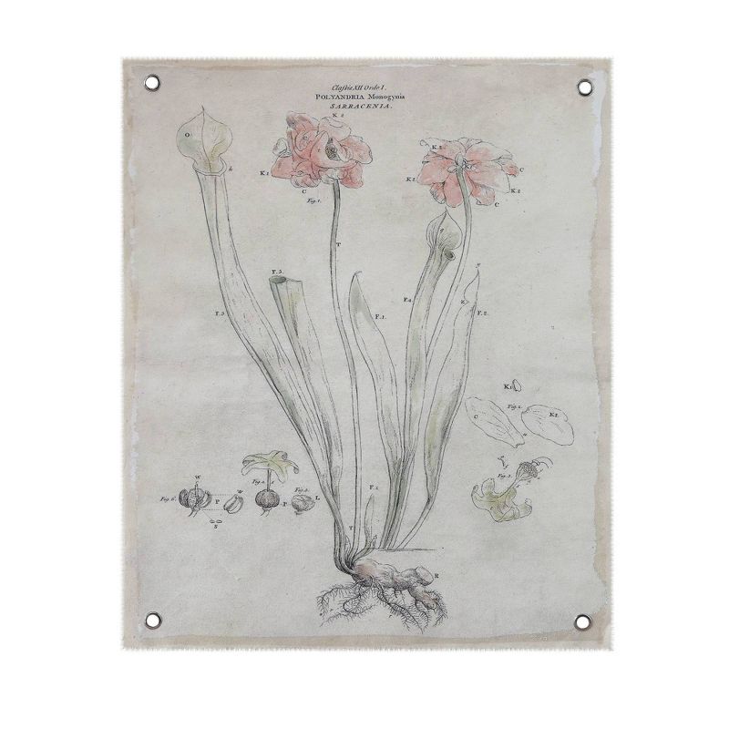 Floral Flax Framed Wall Canvas Art - 3R Studios
