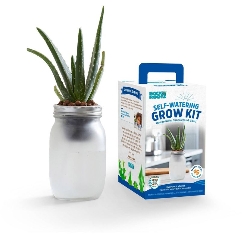 Back to the Roots Hydroponic Succulent & Cactus Grow Kit