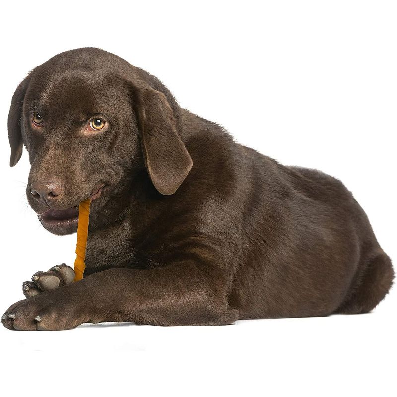 Cadet 5 Inch Rawhide Pork Twisty Sticks (1 lb pack)