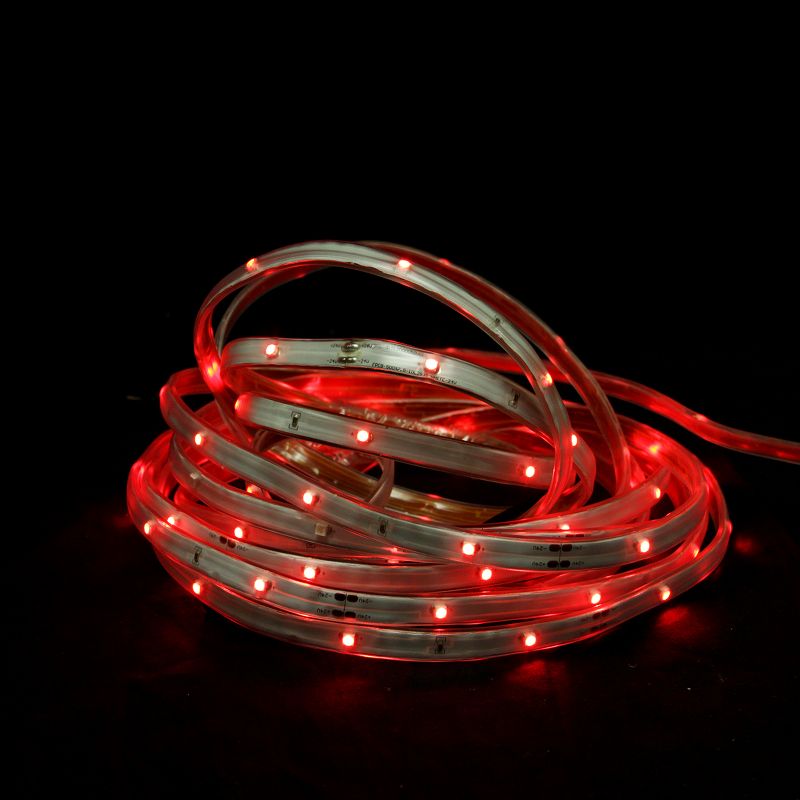 30ct Battery Operated LED Fairy String Lights - Sterno Home