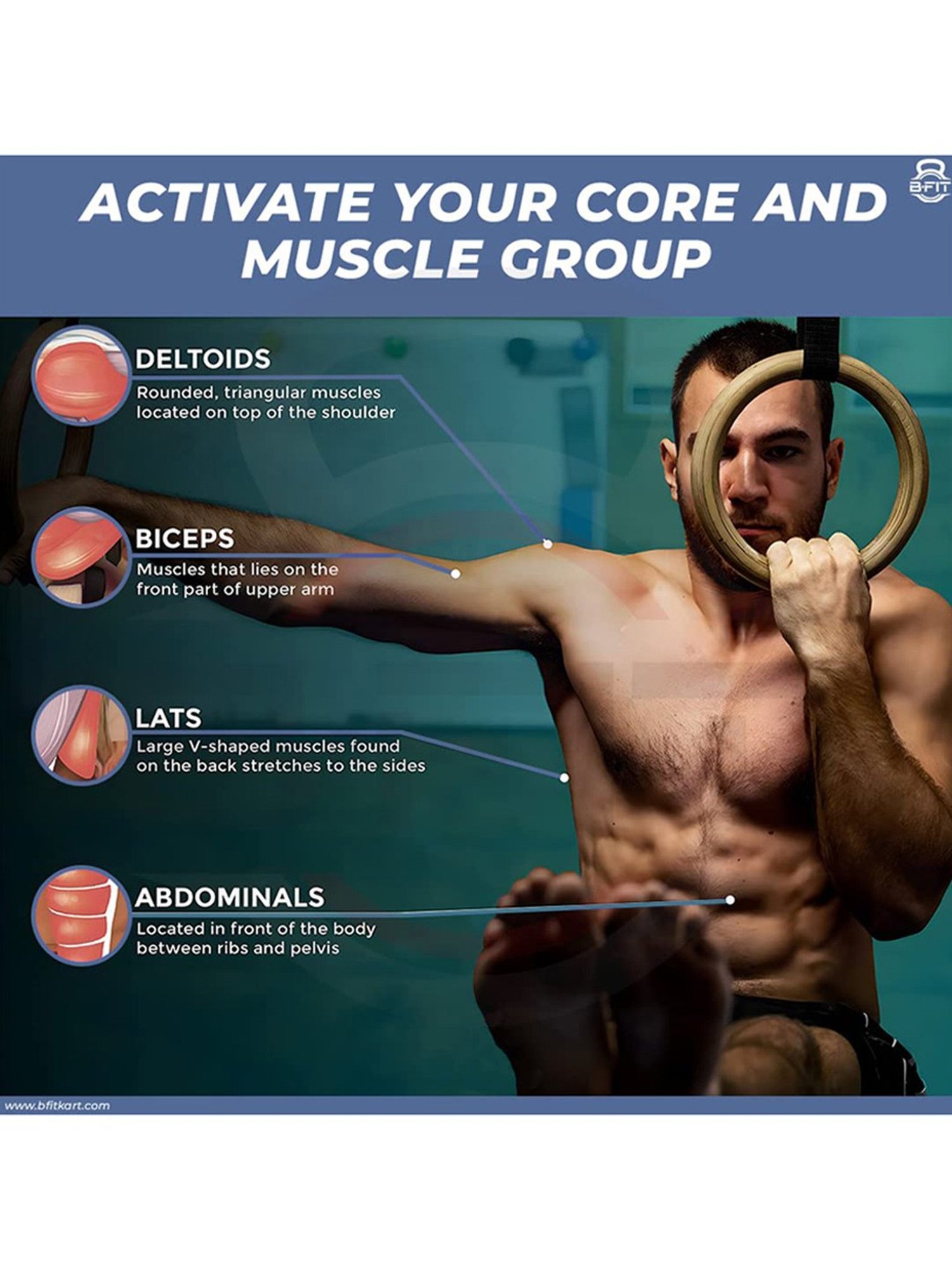 B Fit Wooden Gymnastic Rings with Heavy Duty Adjustable Straps (Black)