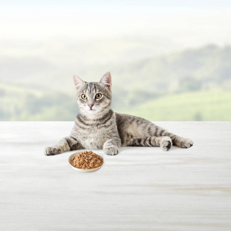 Blue Buffalo Healthy Gourmet Grilled Salmon Entrée In Gravy Premium Wet Cat Food - 3oz